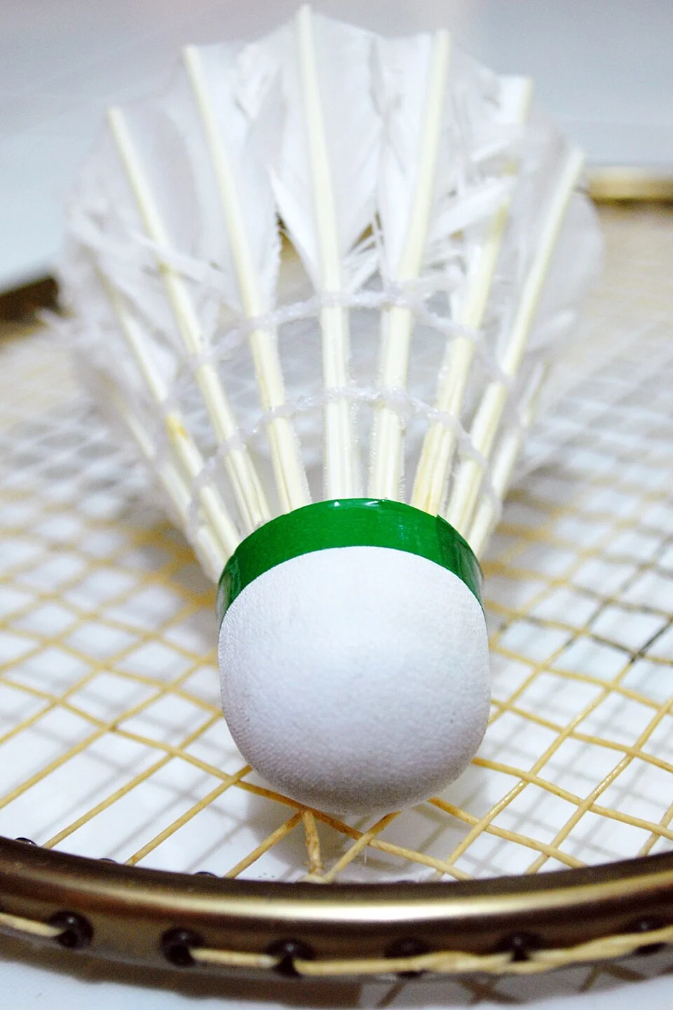 Feathered badminton projectile with a rounded base.