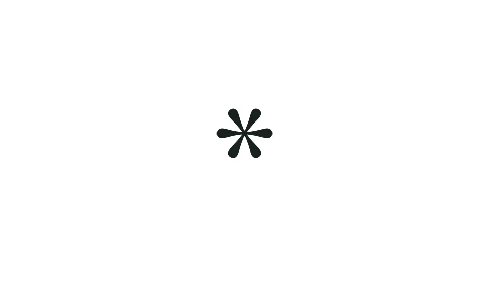 A small star-shaped mark.